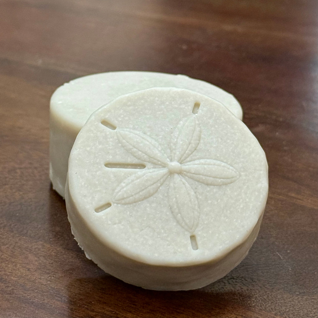 Sea salt sand dollar 